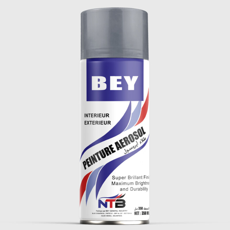 Bey 22 Spray Paint - Peinture Aerosol BEY