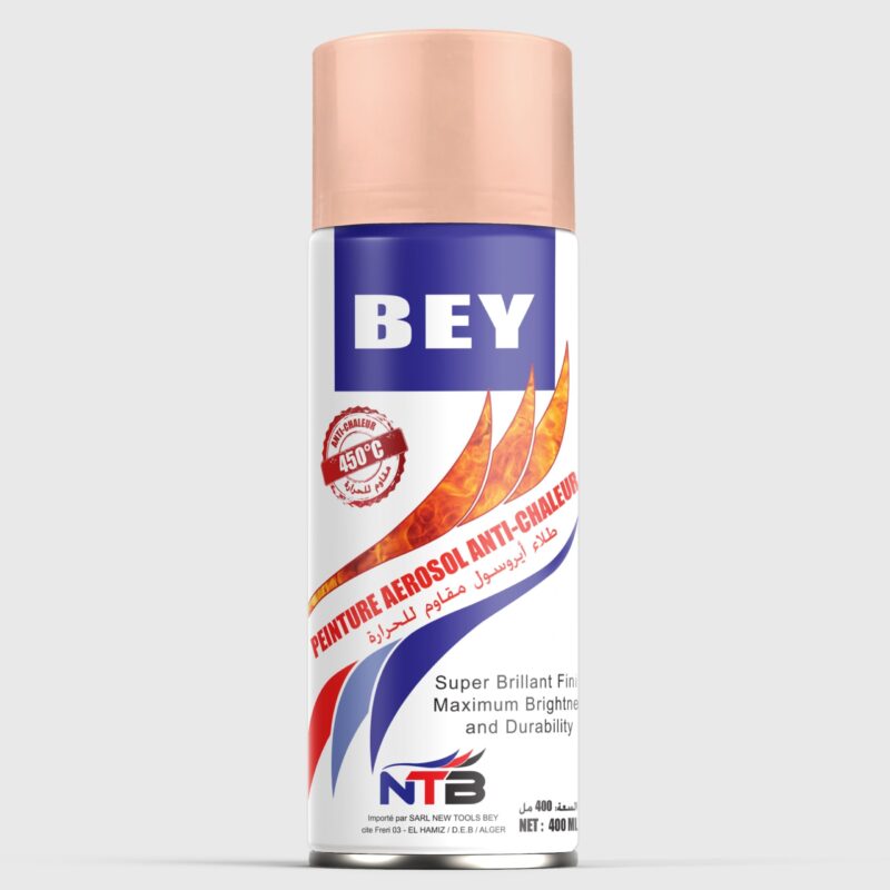 Bey 315d Spray Paint - Peinture Aerosol BEY